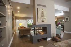 Natural Gas Fireplaces - DG 156 A