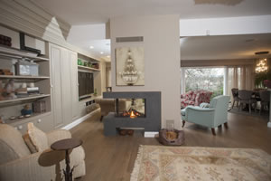 Natural Gas Fireplaces - DG 156