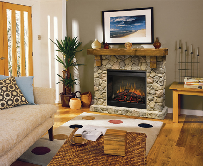 Dimplex Electric Fireplaces - E 107