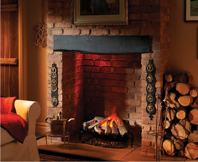 Dimplex Electric Fireplaces - E 116