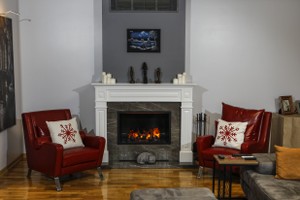 Dimplex Electric Fireplaces - E 135