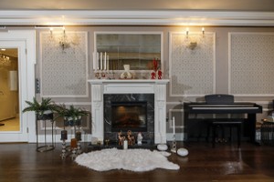 Dimplex Electric Fireplaces - E 142