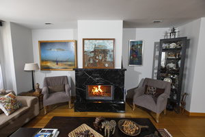 Modern Fireplace Surrounds  - M 205